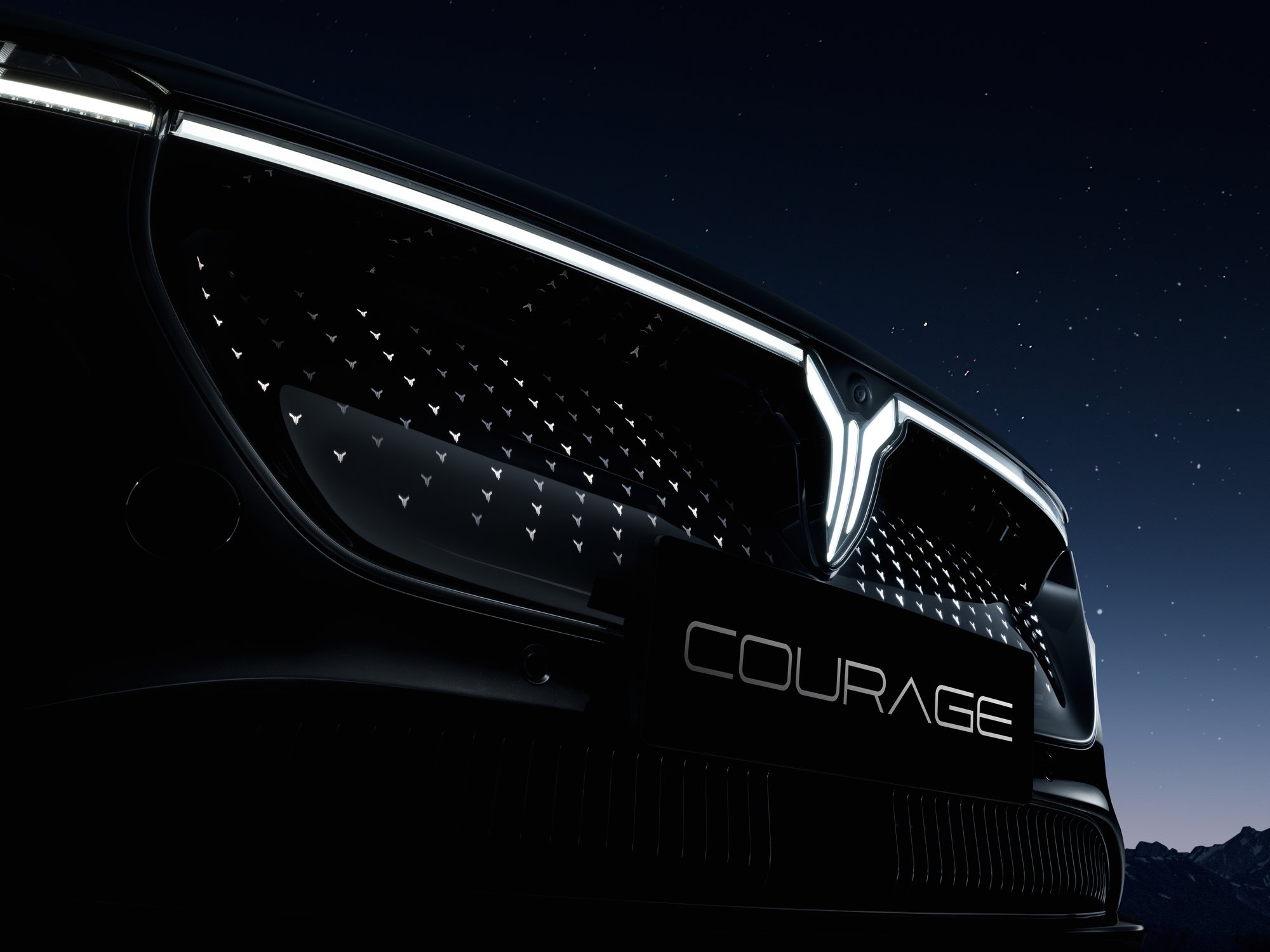 COURAGE Star Language Grid COURAGE Star Language Grid